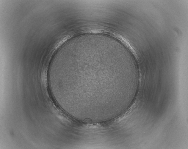 X0000115050386200911161552