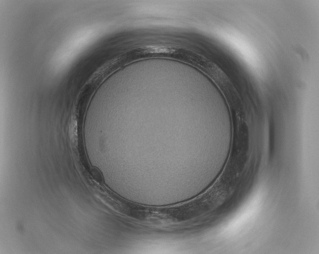 X0000115050387200911161552