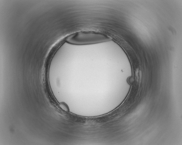 X0000115050388200911161552