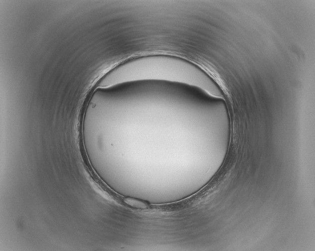 X0000115050389200911161552