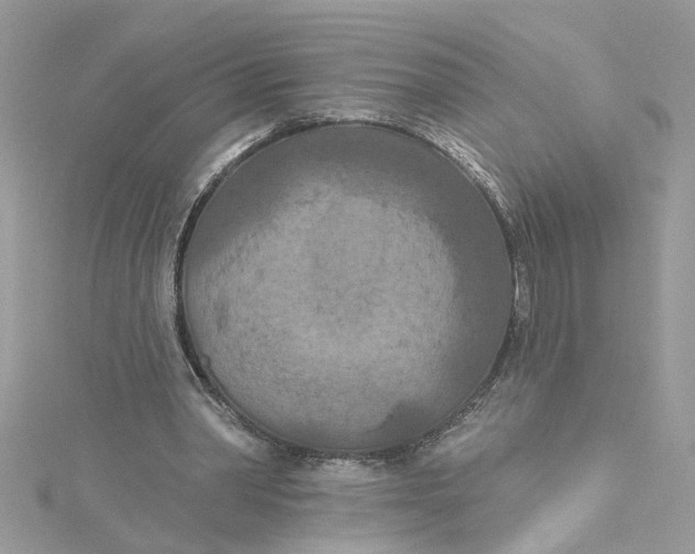 X0000115050390200911161552