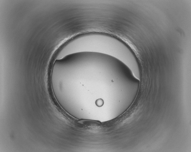 X0000115050391200911161552