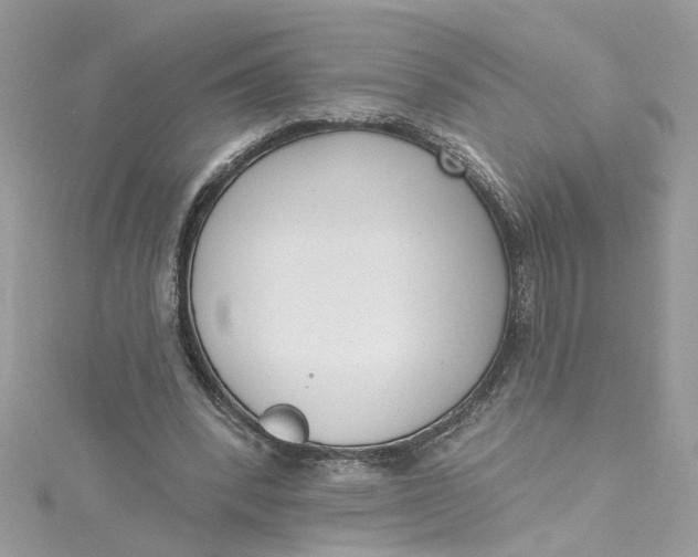 X0000115050392200911161552