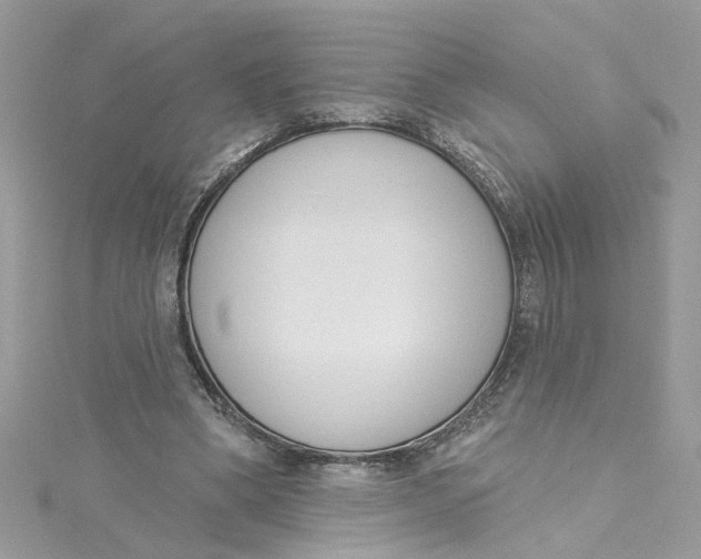 X0000115050394200911161552