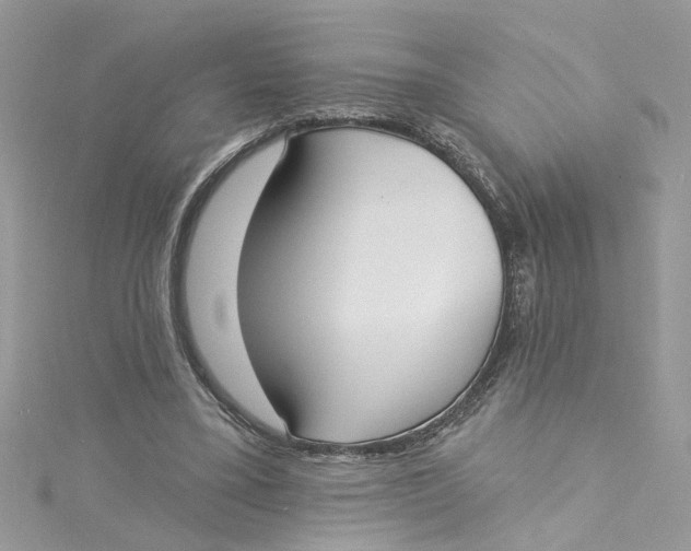 X0000115050395200911161552