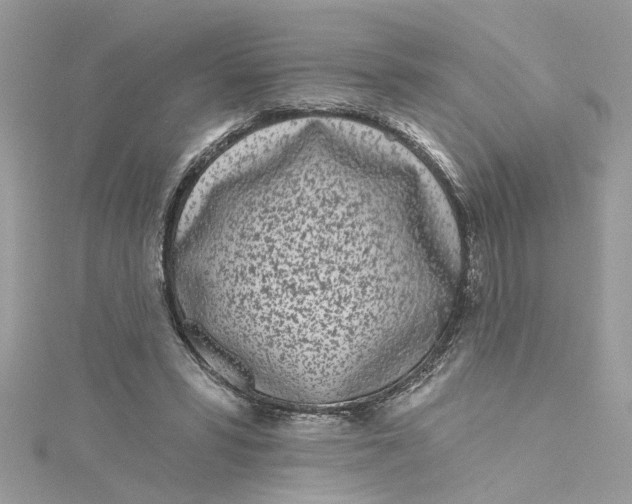 X0000115050399200911161552