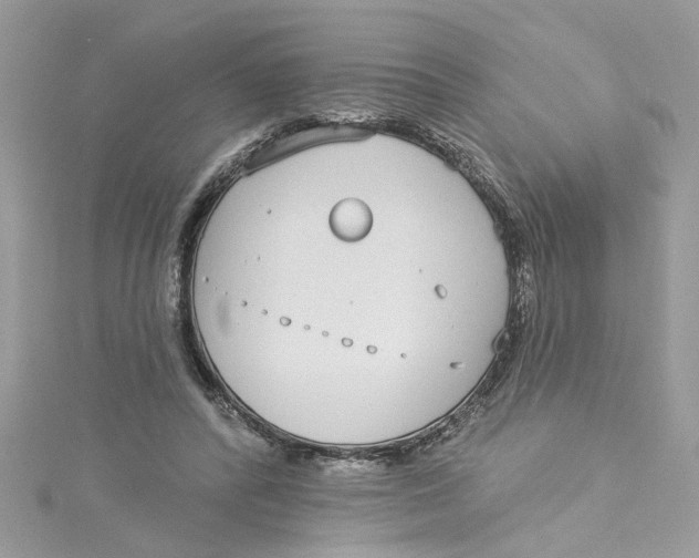 X0000115050400200911161552