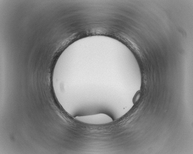 X0000115050401200911161552