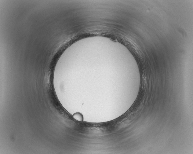 X0000115050404200911161552