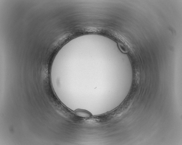 X0000115050407200911161552