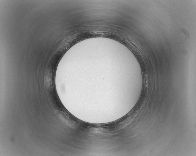 X0000115050408200911161552