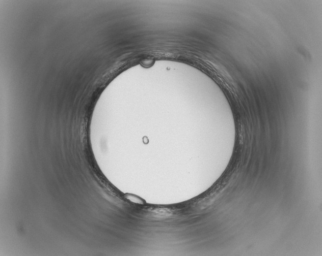 X0000115050409200911161552