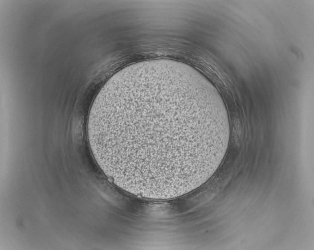 X0000115050410200911161552