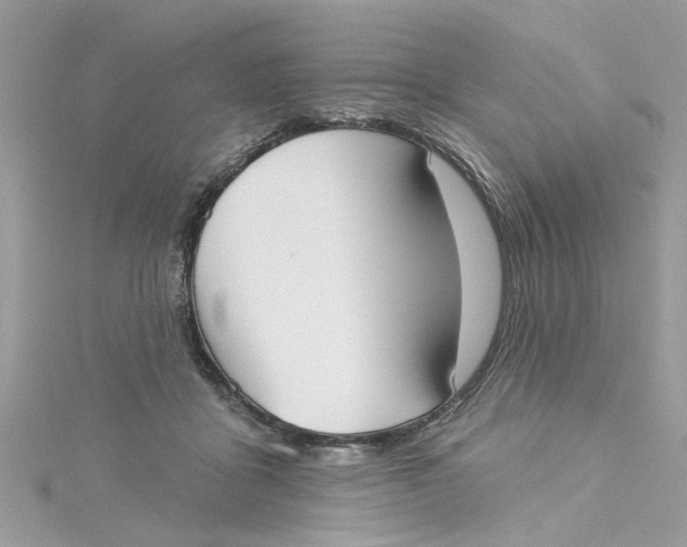 X0000115050411200911161552