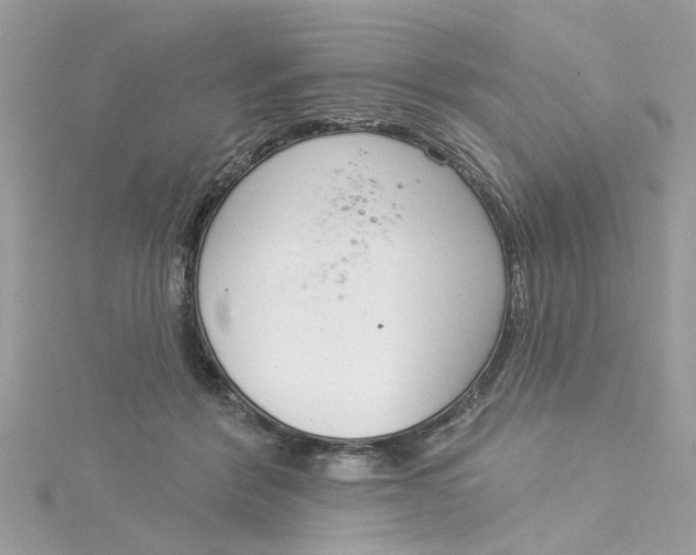 X0000115050412200911161552