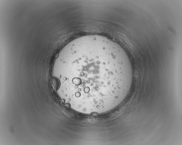 X0000115050416200911161552