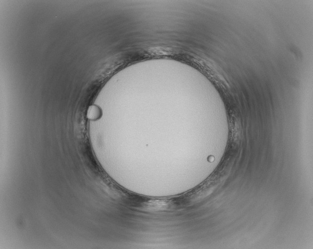 X0000115050418200911161552