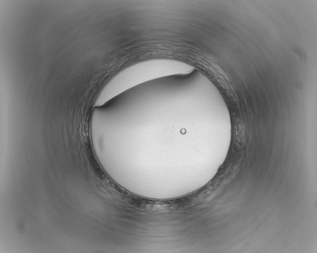 X0000115050419200911161552