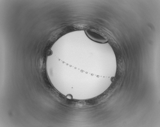 X0000115050420200911161552