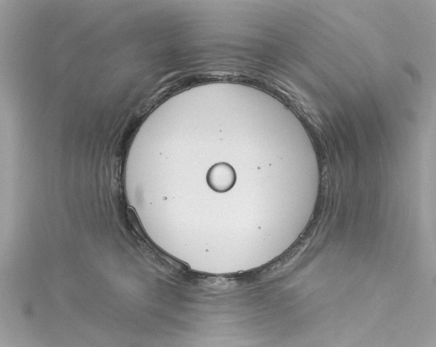 X0000115050421200911161552