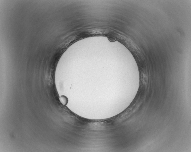 X0000115050422200911161552