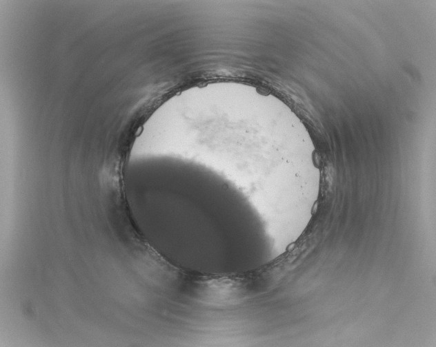 X0000115050423200911161552