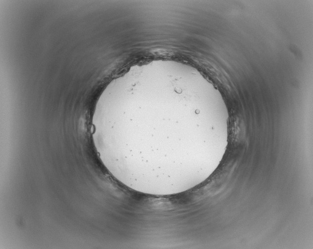 X0000115050424200911161552