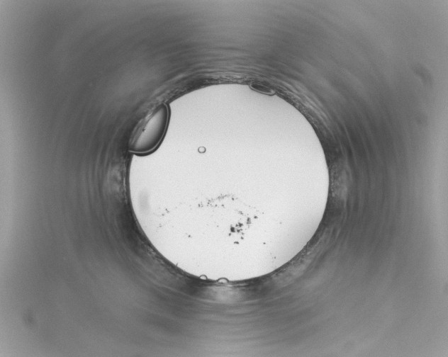 X0000115050425200911161552