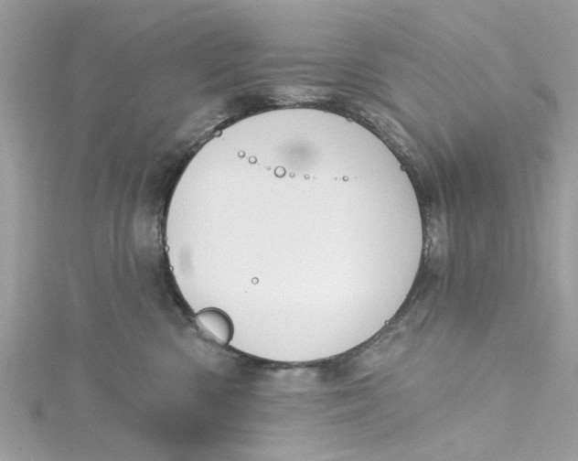 X0000115050426200911161552