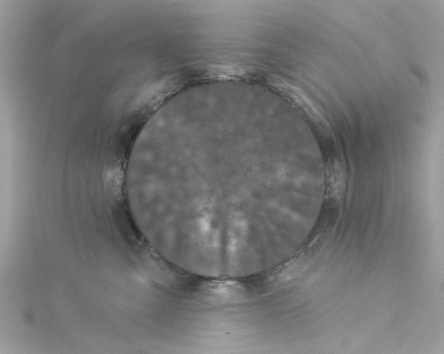 X0000115050427200911161552