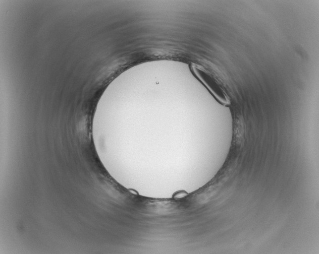 X0000115050428200911161552