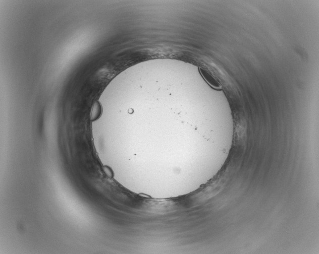 X0000115050429200911161552