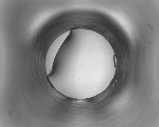 X0000115050431200911161552