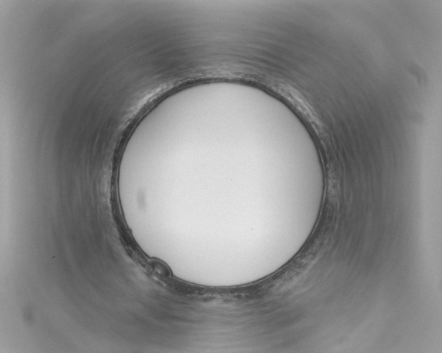 X0000115050434200911161551