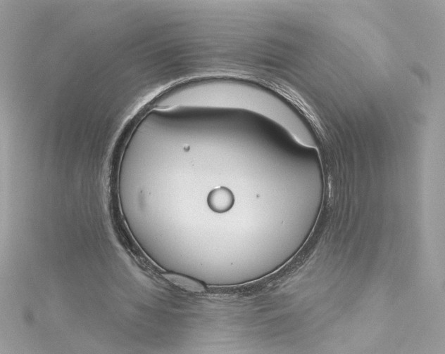 X0000115050436200911161551