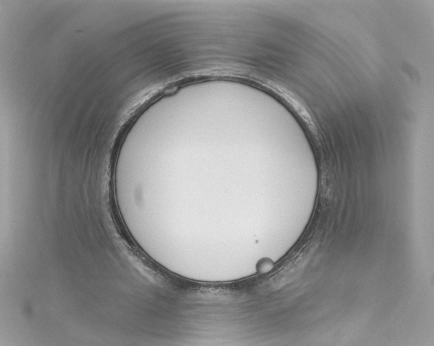 X0000115050437200911161551