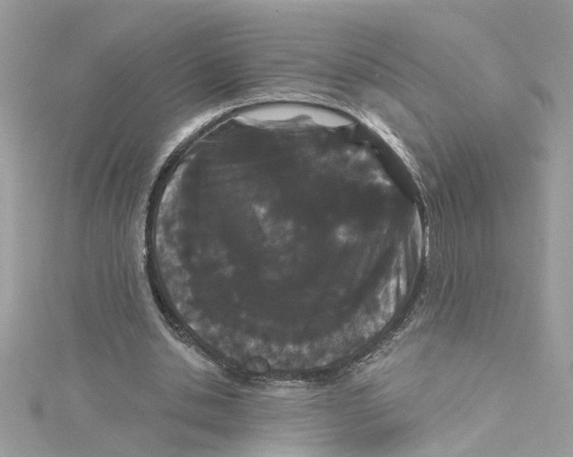 X0000115050438200911161551