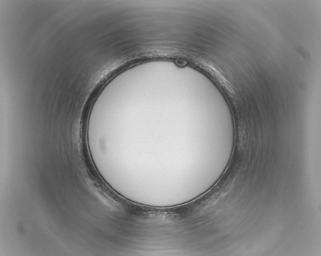 X0000115050439200911161551