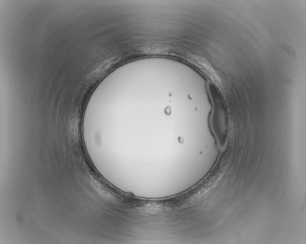 X0000115050441200911161551