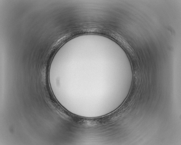 X0000115050442200911161551