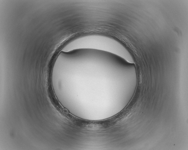 X0000115050444200911161551