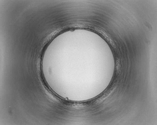 X0000115050445200911161551