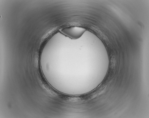 X0000115050446200911161551