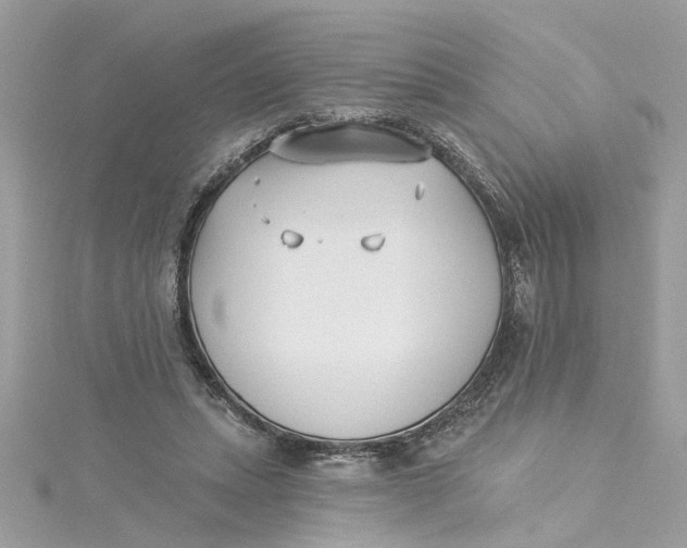 X0000115050447200911161551