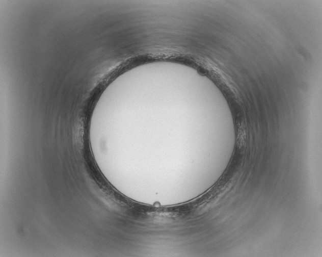 X0000115050448200911161551