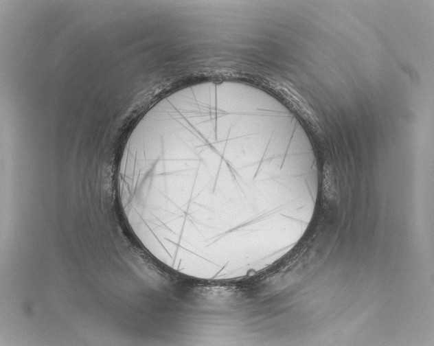 X0000115050449200911161551