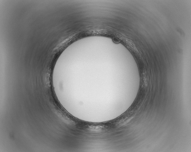 X0000115050450200911161551