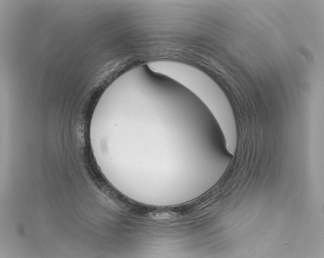 X0000115050452200911161551