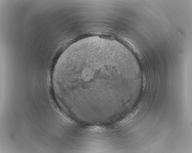 X0000115050453200911161551