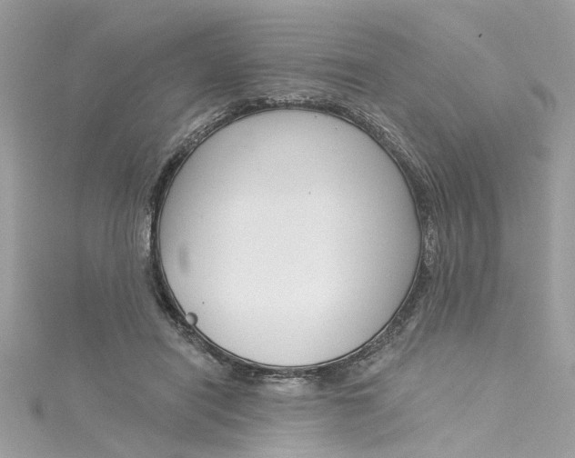 X0000115050454200911161551